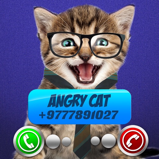Fake Call Video Cat Joke Icon