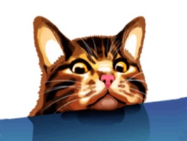 Meme cat sticker set for iMessage