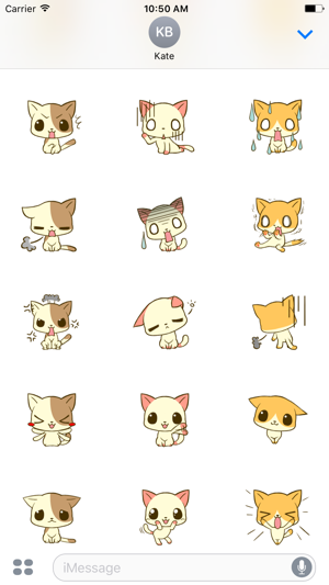 Cute Chihuahua Animated Sticker(圖3)-速報App