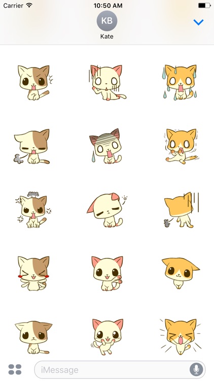 Cute Chihuahua Animated Sticker