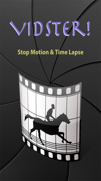 Vidster! Stop Motion & Time Lapse screenshot-3