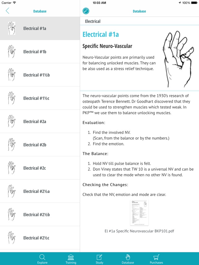 Kinesiology Finger Modes Chart