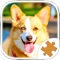 Dogs Jigsaw Puzzles - is classical Jigsaw Puzzles solving game