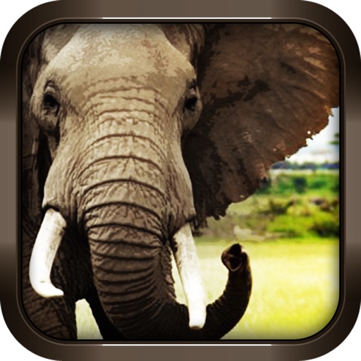 Wild Elephant Simulator 3D Crazy Attack Game Free icon