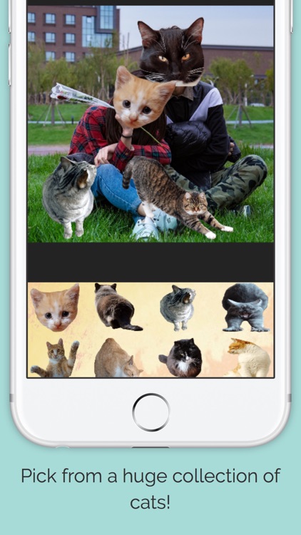 Cats Everywhere - Add Cats to Pictures/Photos