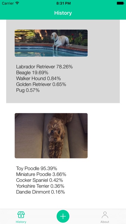 Dog Breeds Recognition by AI screenshot-3