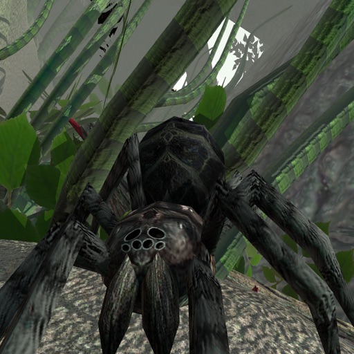 Spider simulator - The insect world iOS App