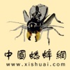 中国蟋蟀网