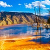 Yellowstone Wallpapers HD: Quotes with Art