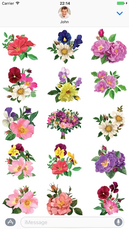 Pansy Flowers - Stickers for iMessage