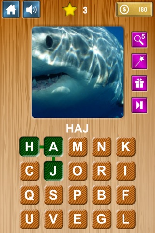 Zoom & Hidden Word - Animals Edition screenshot 3