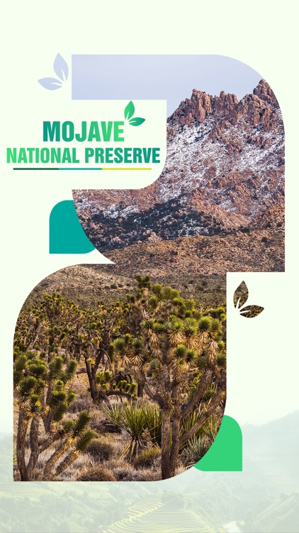Mojave National Preserve Travel Guide