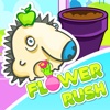 Flower Rush