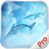 Filter Camera - Magic Fish Effects & Shark - PRO