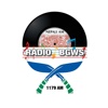 Radio BGWS 1179 AM