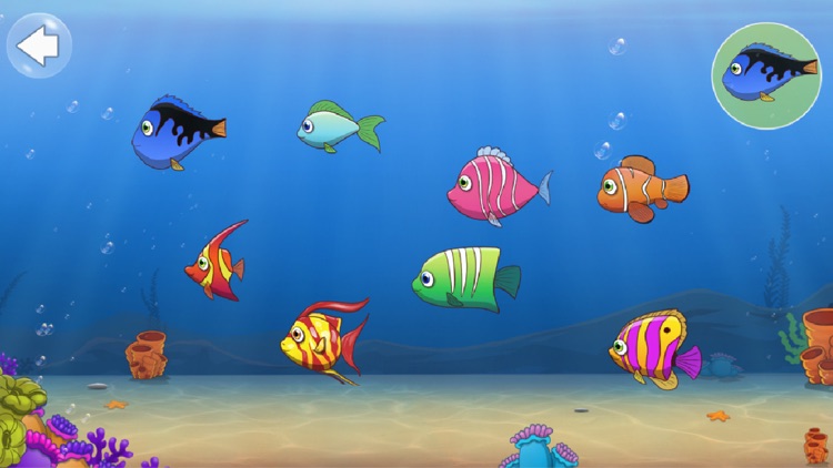 Fishing For Kids 2016