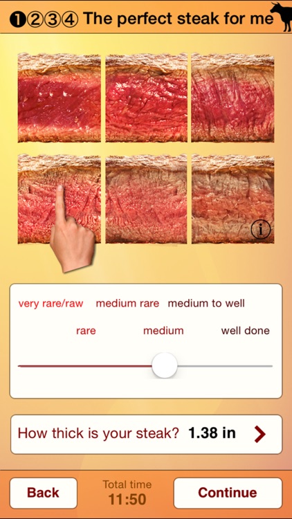 Steak Master - Perfect steaks screenshot-1