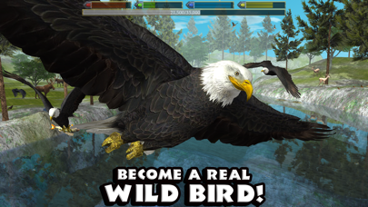 How to cancel & delete Ultimate Bird Simulator from iphone & ipad 1