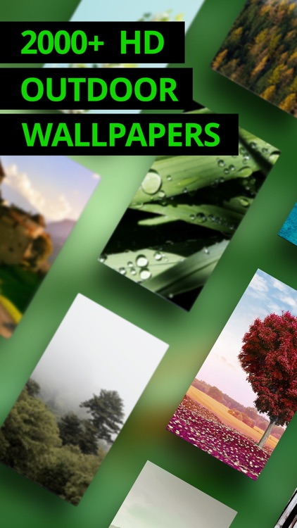 Outdoor - HD Free Wallpaper