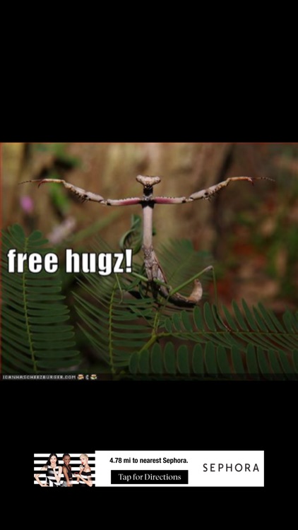 Funny Pics!