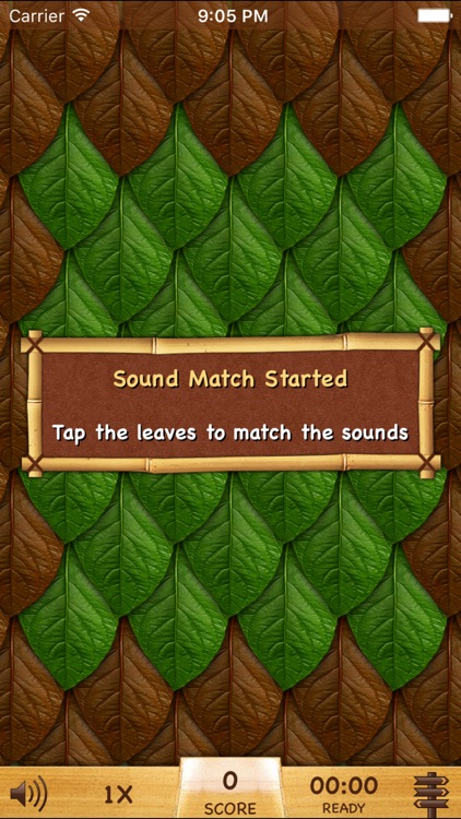 Safari Sound Match Pro