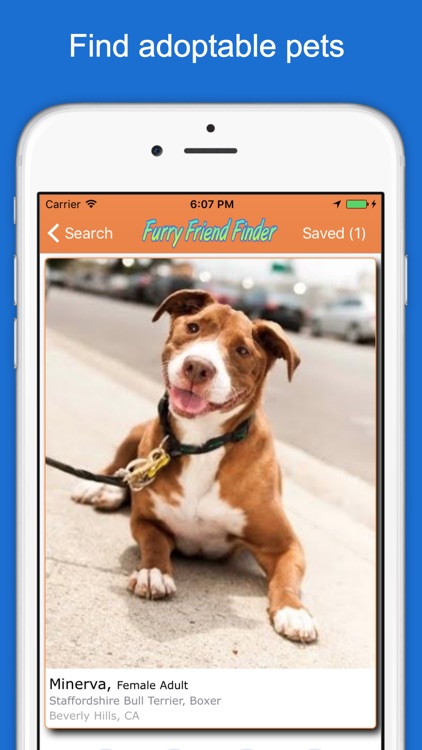 Furry Friend Finder - Animal Rescue Pet Adoption