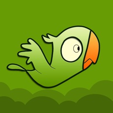 Activities of Green Bird