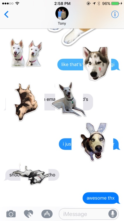 Husky Stickers by Cutesy screenshot-3