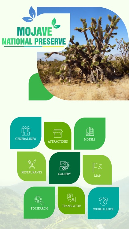 Mojave National Preserve Travel Guide