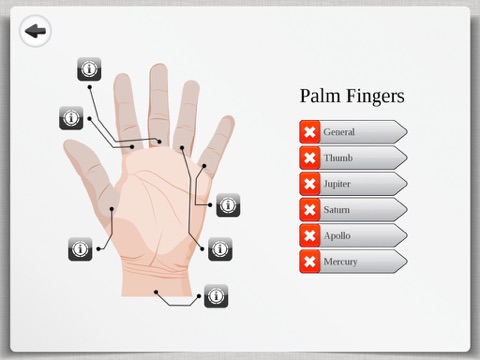 Palm Reading Premium HD Lite palmistry chirology screenshot 3