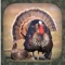 Icon Turkey Hunting Calls