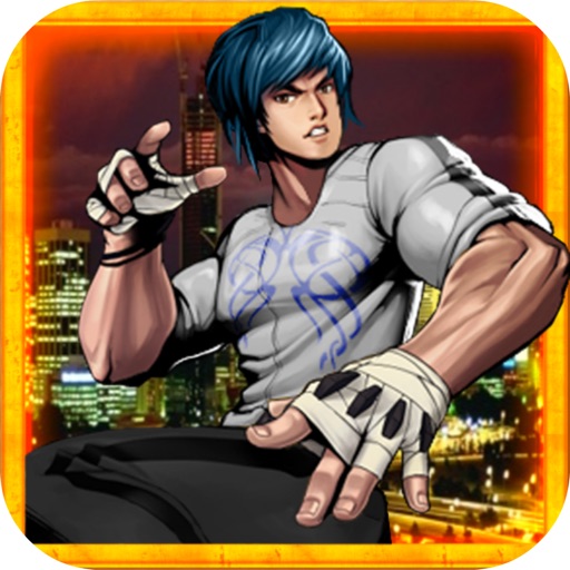 Karate Fighter Fury Fight iOS App