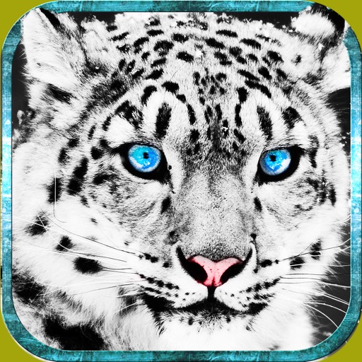 Life of Wild Snow Leopard Simulation 3D - Experience The Life Of Real Snow Leopard iOS App