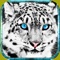 Experience the life of a snow leopard