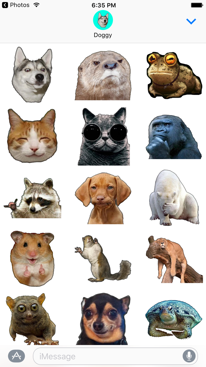 可爱的动物模特贴纸包为iMessage