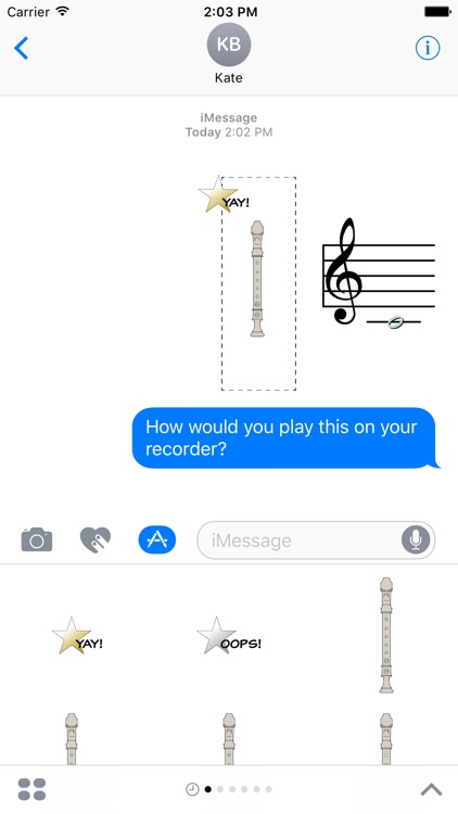 Bandroxx Recorder screenshot-4
