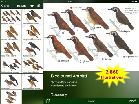 All Birds Northern Brazil - a field guide to all the bird species recorded in this region of South America screenshot 3