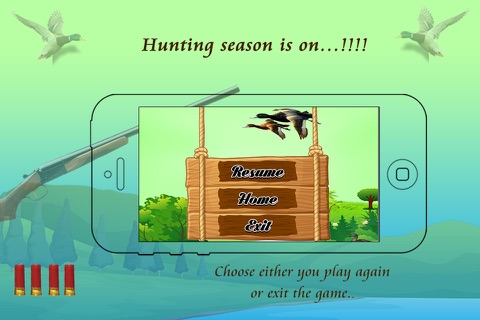 Duck Hunting 3D - náhled
