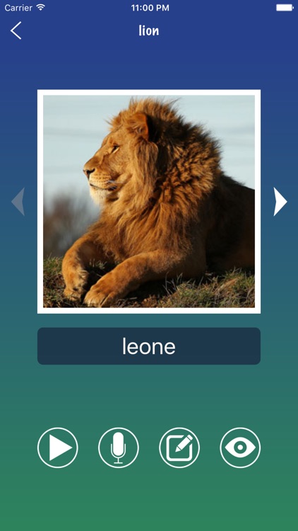 Italian Word - Learn Italian Language Vocabulary