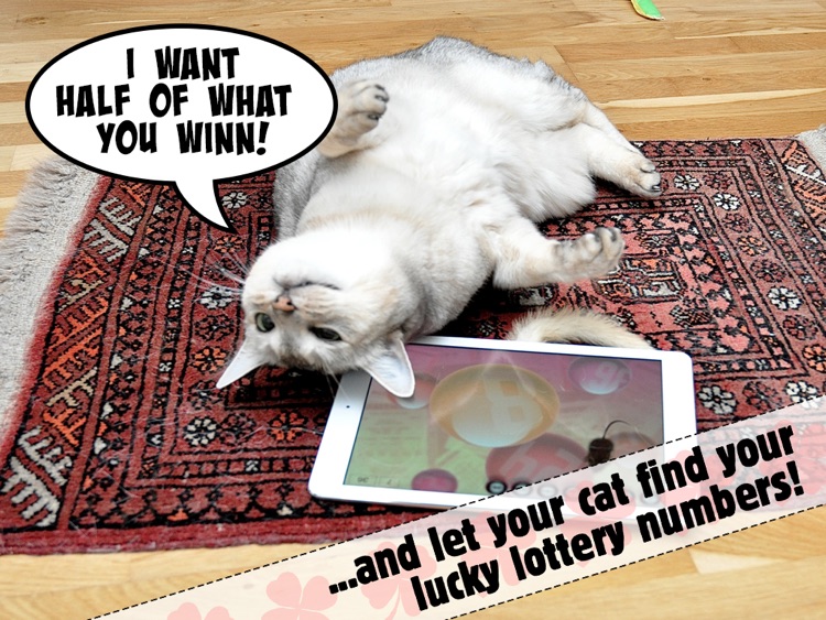 Lucky Cat Lottery Numbers - Catch Game For Cats