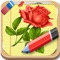 Draw Flowers is an app that teaches you how to draw flowers step by step