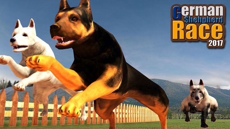 German Shepard Pet Dog Race 2017 screenshot-3