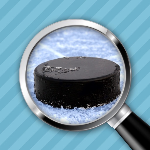 Close-up & Words - Ice Hockey Edition icon