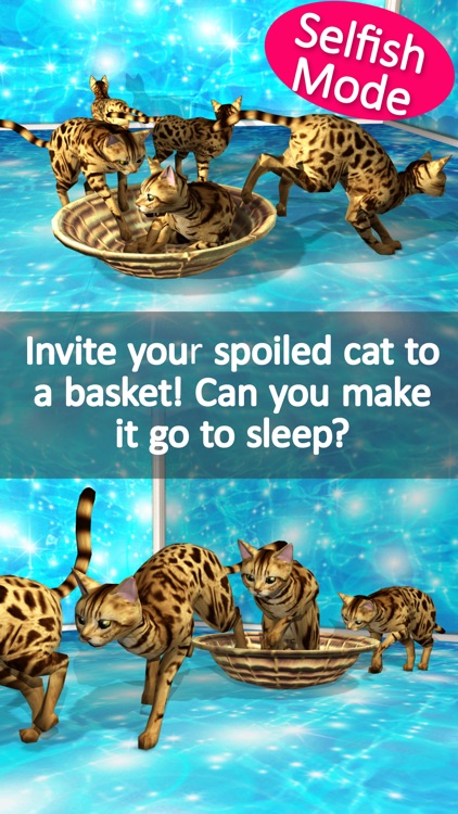 Bengal Petting Cat! More! To love the cat!