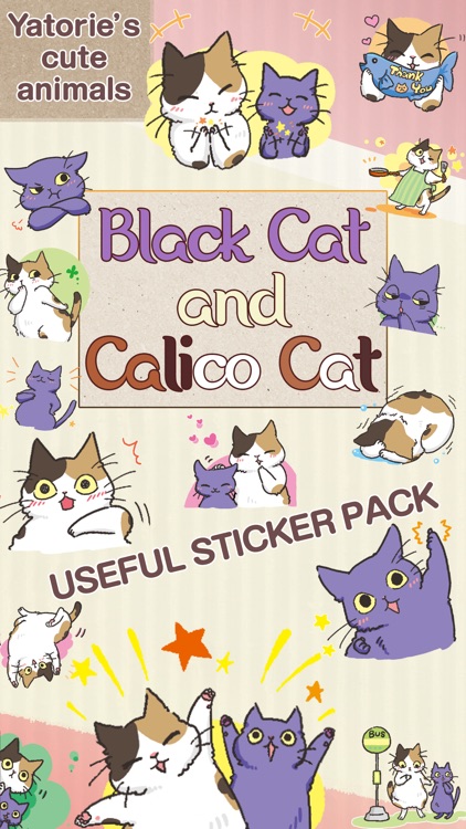 Black Cat and Calico Cat