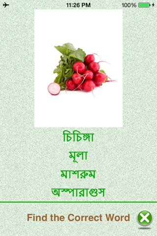 Flashcards Bengali Lesson screenshot 4