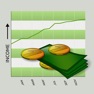 Get Income Tracker for iOS, iPhone, iPad Aso Report