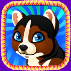 Activities of Lovely Puppy Pet:Puzzle games for children