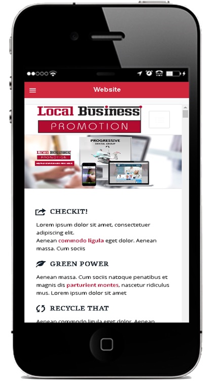 Local Business Promotion, LLC