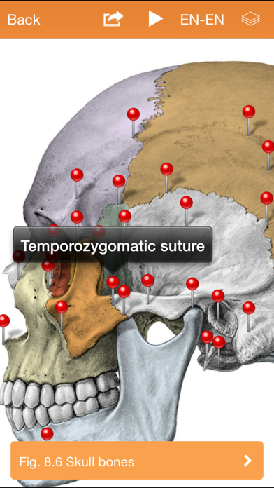 Sobotta Anatomy screenshot1